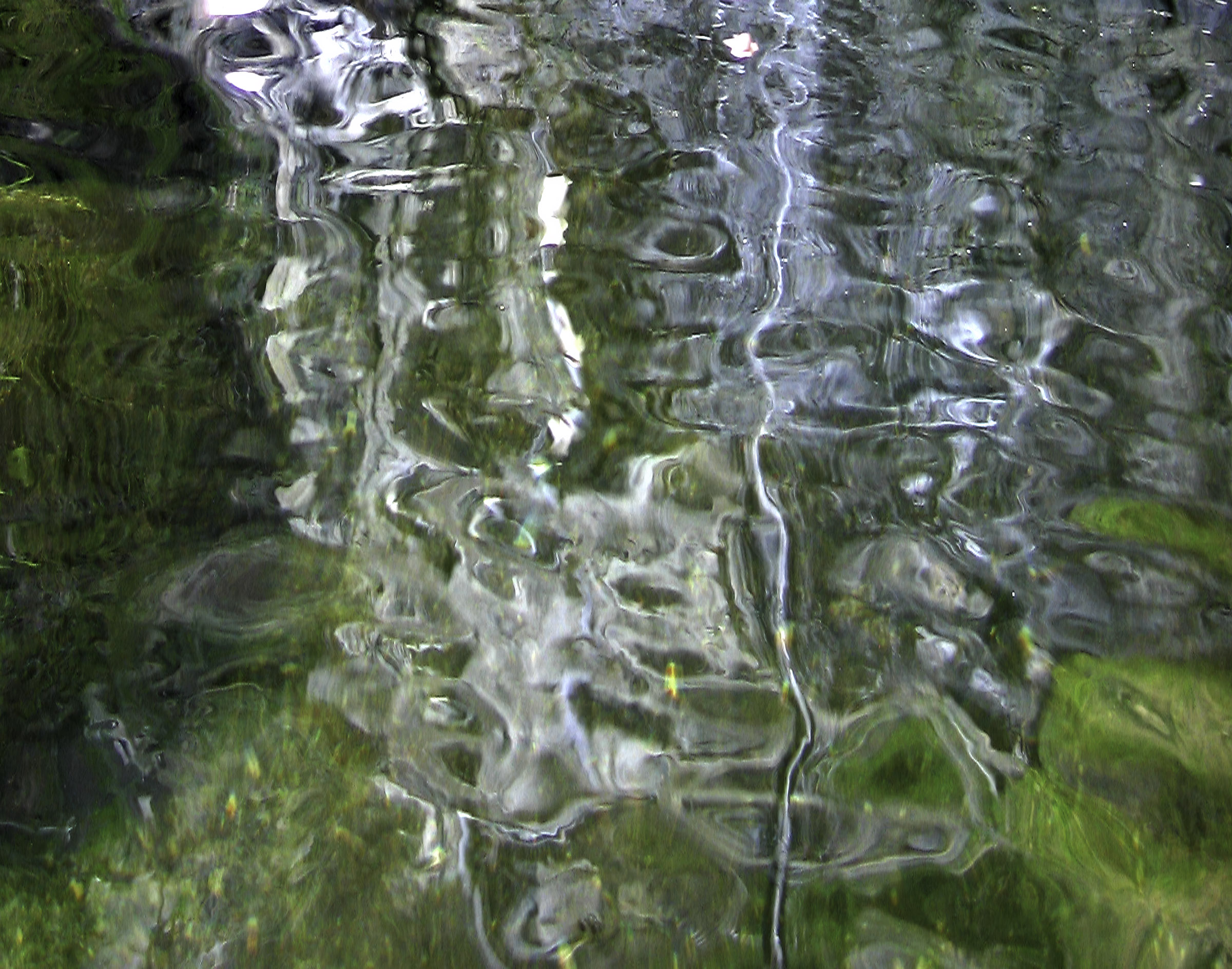 "Hot Springs" by Tony Morse